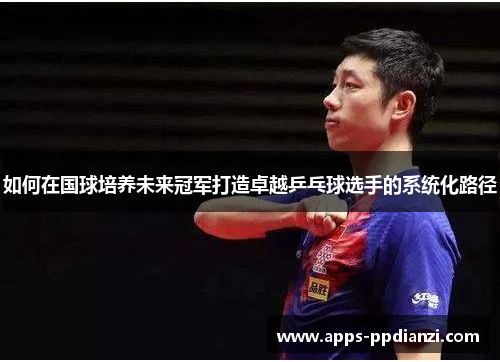 如何在国球培养未来冠军打造卓越乒乓球选手的系统化路径 如何在国球培养未来冠军打造卓越乒乓球选手的系统化路径