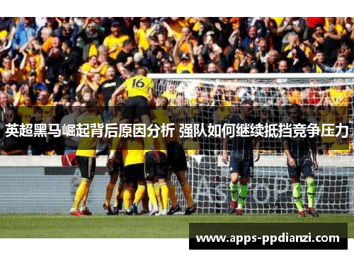 英超黑马崛起背后原因分析 强队如何继续抵挡竞争压力 英超黑马崛起背后原因分析 强队如何继续抵挡竞争压力