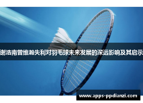 谢浩南曾维瀚失利对羽毛球未来发展的深远影响及其启示
