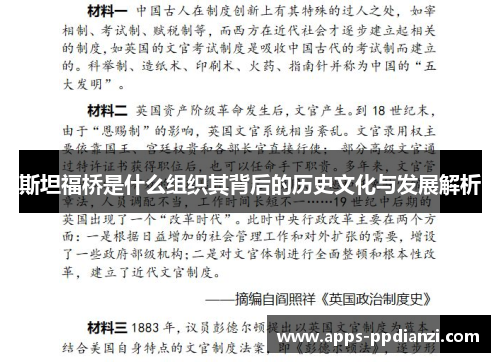 斯坦福桥是什么组织其背后的历史文化与发展解析